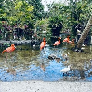 Meet your Posher, Kay